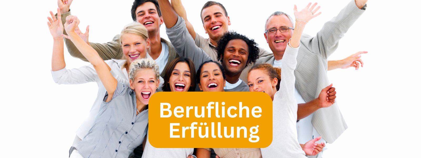 Berufliche Erfüllung Übersicht